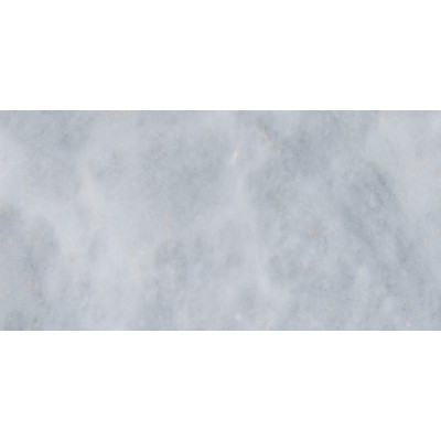 Allure Polished 12X24X3/4 Marble Tiles