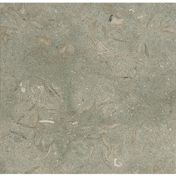 Olive Green Honed 12X12X3/8 Limestone Tiles 1