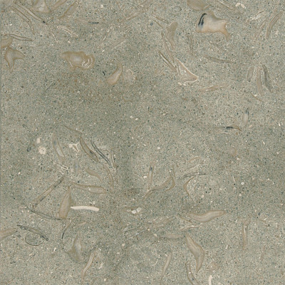 Olive Green Honed 16X16X1/2 Limestone Tiles