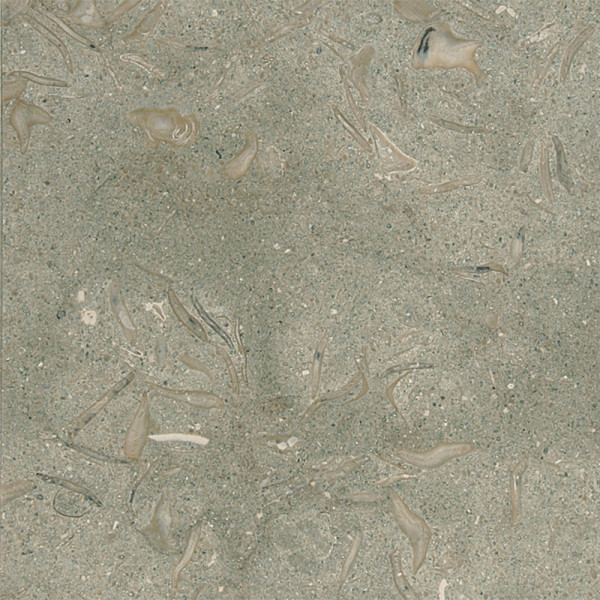 Olive Green Honed 16X16X1/2 Limestone Tiles 1
