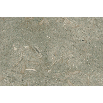 Olive Green Honed 16X24X1/2 Limestone Tiles