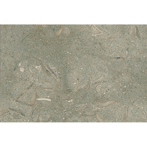 Olive Green Honed 16X24X1/2 Limestone Tiles 1