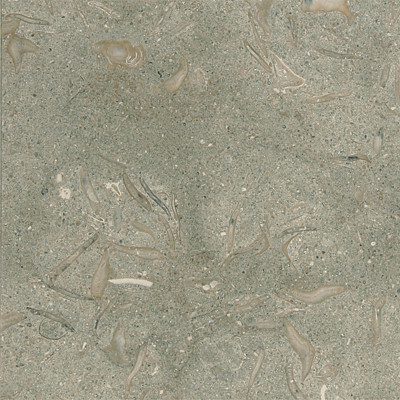 Olive Green Honed 24X24X1/2X1/5 Limestone Tiles