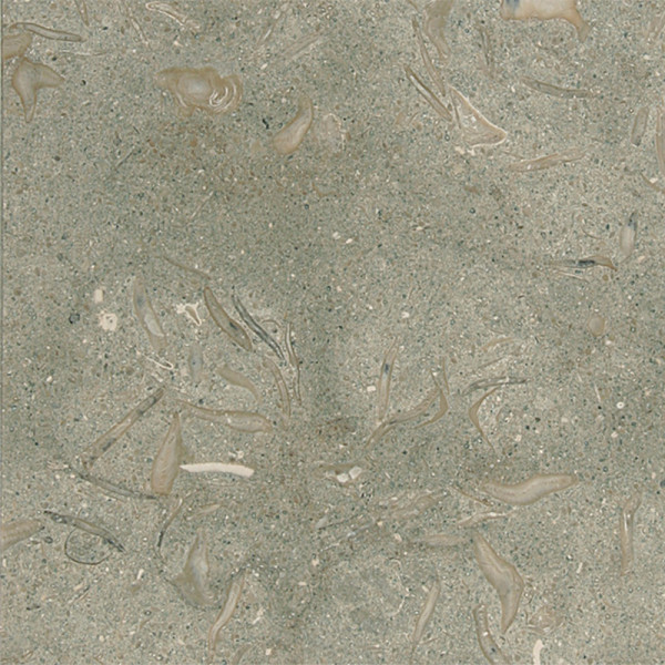 Olive Green Honed 24X24X1/2X1/5 Limestone Tiles 1