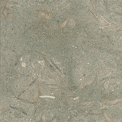 Olive Green Honed 24X24X3/4 Limestone Tiles