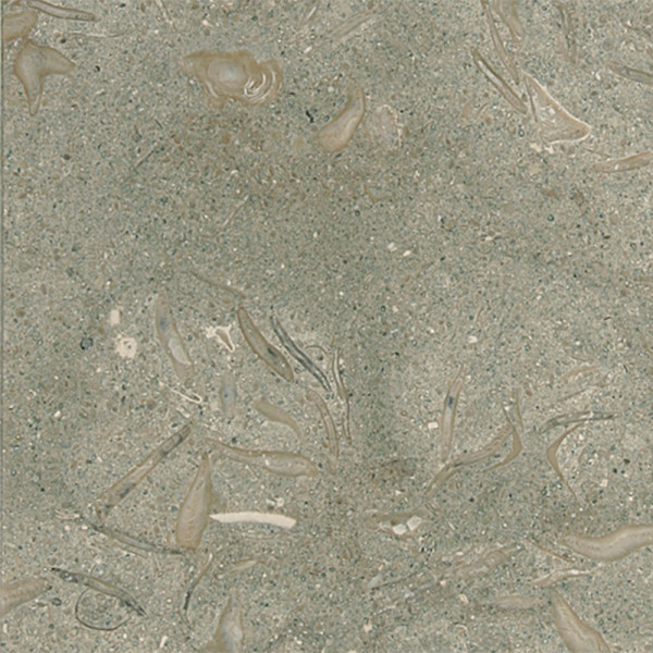 Olive Green Honed 24X24X3/4 Limestone Tiles 1