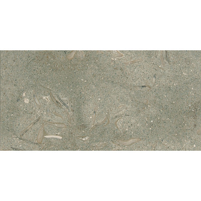 Olive Green Honed 12X24X3/4 Limestone Tiles