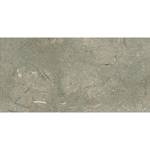Olive Green Honed 12X24X3/4 Limestone Tiles 1