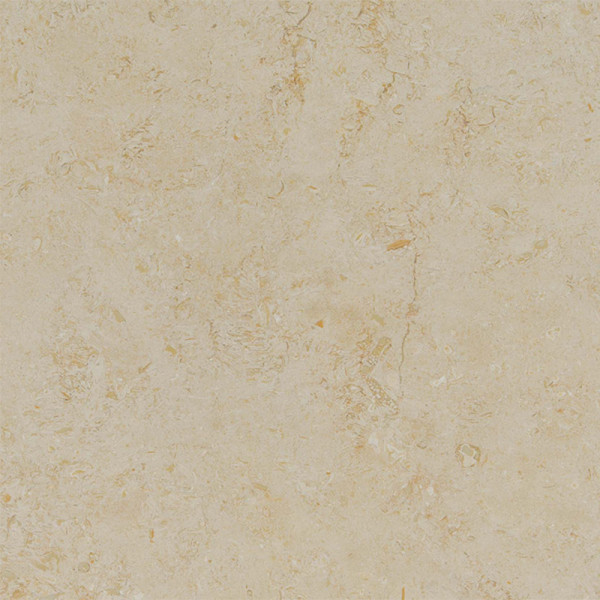New Casablanca Honed Filled 36X36X3/4 Limestone Tiles 1