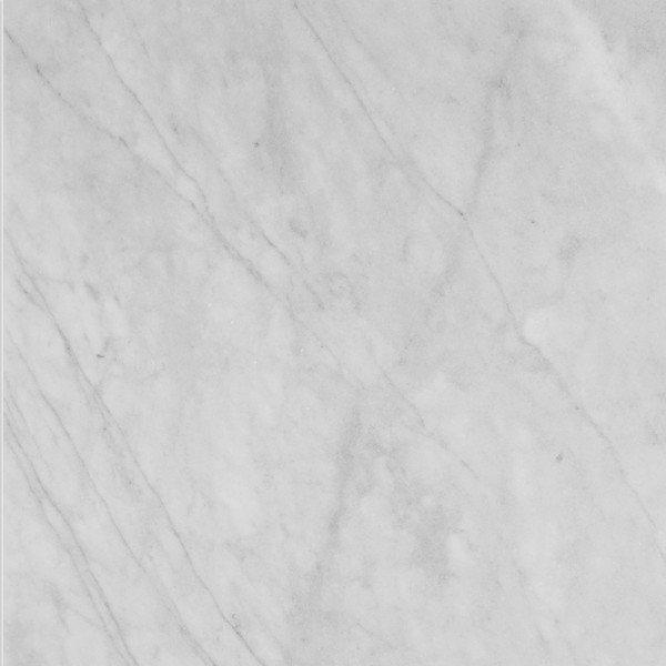 Avenza Honed 18X18X3/8 Marble Tiles 1