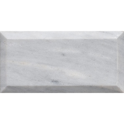 Avenza Honed 2 3/4X5 1/2X3/8 Marble Tiles
